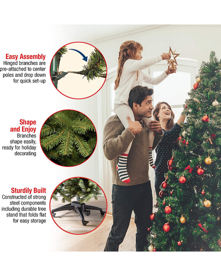 Balsam Signature NorthTree